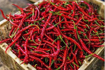 Pepper