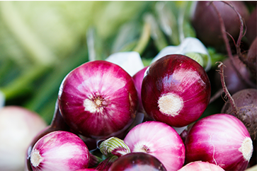 Onion